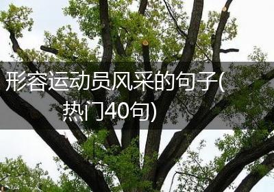 形容运动员风采的句子(热门40句)