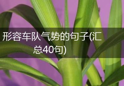 形容车队气势的句子(汇总40句)