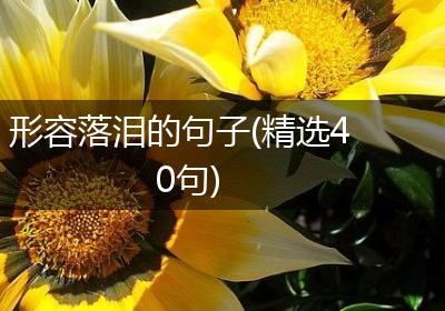 形容落泪的句子(精选40句)