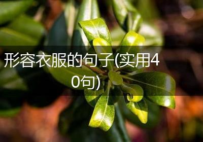 形容衣服的句子(实用40句)