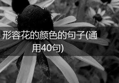 形容花的颜色的句子(通用40句)