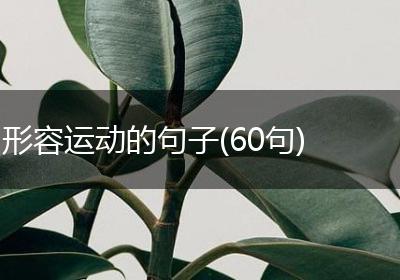 形容运动的句子(60句)
