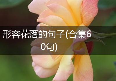 形容花落的句子(合集60句)