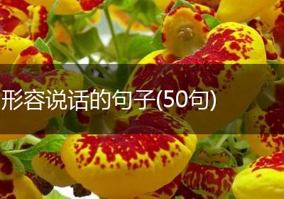 形容说话的句子(50句)
