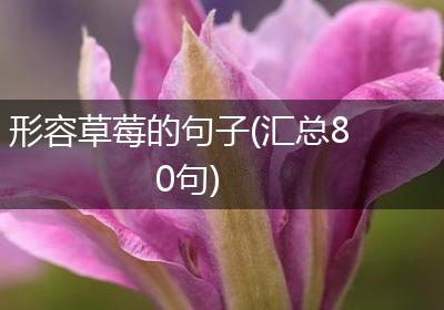 形容草莓的句子(汇总80句)