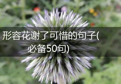 形容花谢了可惜的句子(必备50句)