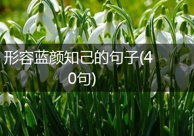 形容蓝颜知己的句子(40句)