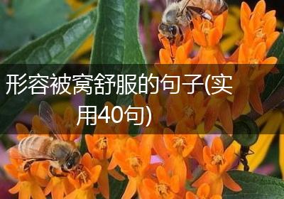 形容被窝舒服的句子(实用40句)