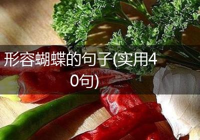 形容蝴蝶的句子(实用40句)