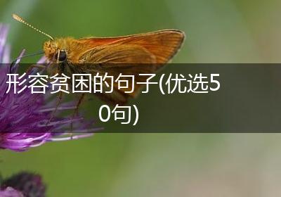 形容贫困的句子(优选50句)