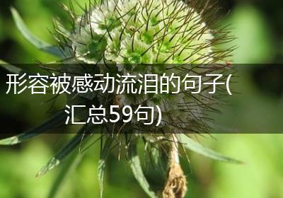 形容被感动流泪的句子(汇总59句)