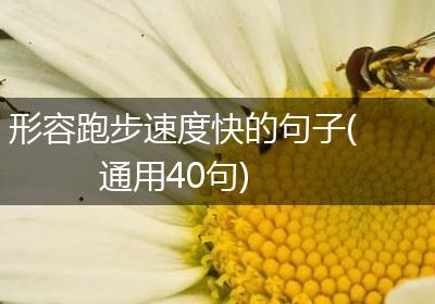 形容跑步速度快的句子(通用40句)