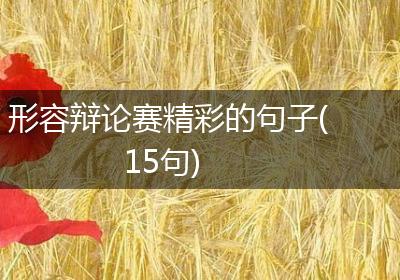 形容辩论赛精彩的句子(15句)
