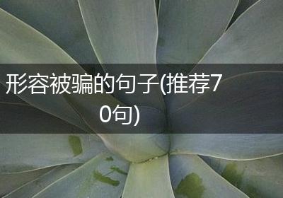 形容被骗的句子(推荐70句)