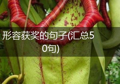 形容获奖的句子(汇总50句)