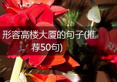 形容高楼大厦的句子(推荐50句)
