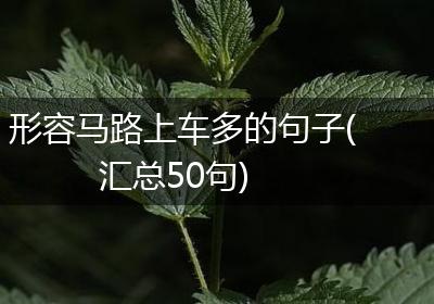形容马路上车多的句子(汇总50句)