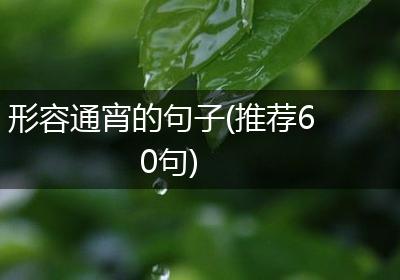形容通宵的句子(推荐60句)
