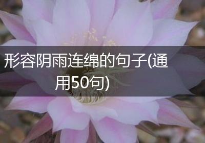 形容阴雨连绵的句子(通用50句)