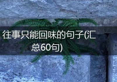 往事只能回味的句子(汇总60句)