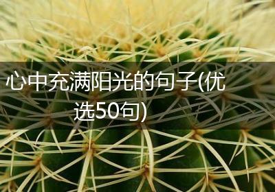 心中充满阳光的句子(优选50句)