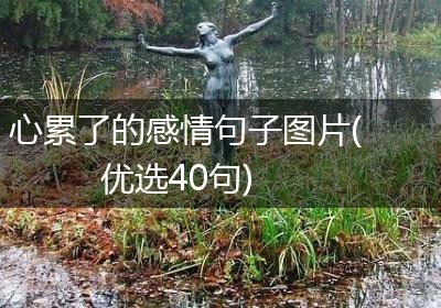 心累了的感情句子图片(优选40句)