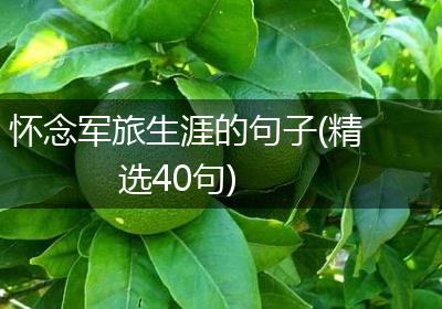 怀念军旅生涯的句子(精选40句)