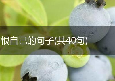 恨自己的句子(共40句)