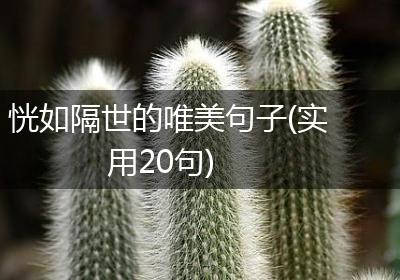 恍如隔世的唯美句子(实用20句)
