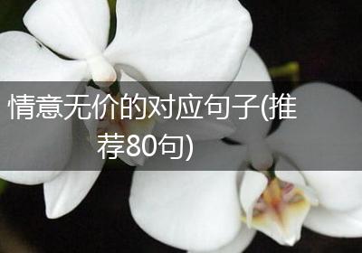 情意无价的对应句子(推荐80句)