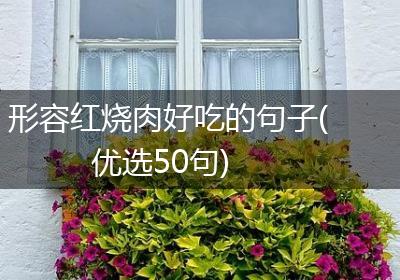 形容红烧肉好吃的句子(优选50句)