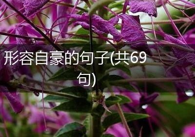 形容自豪的句子(共69句)