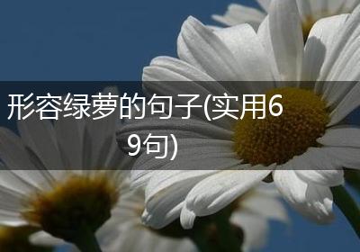 形容绿萝的句子(实用69句)