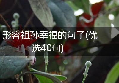 形容祖孙幸福的句子(优选40句)