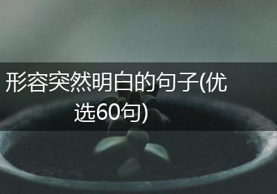 形容突然明白的句子(优选60句)