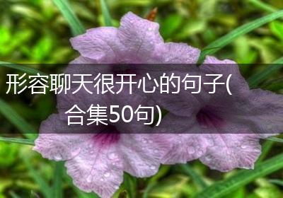 形容聊天很开心的句子(合集50句)