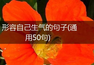 形容自己生气的句子(通用50句)