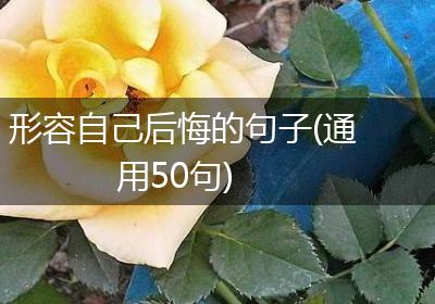 形容自己后悔的句子(通用50句)