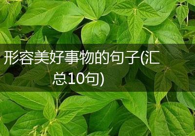 形容美好事物的句子(汇总10句)