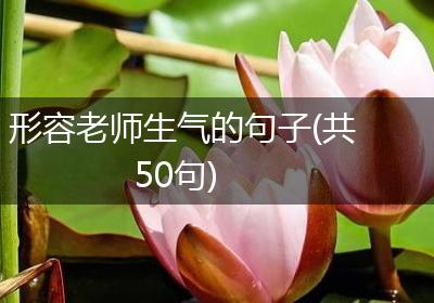 形容老师生气的句子(共50句)