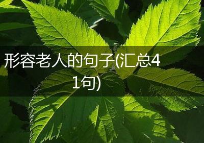形容老人的句子(汇总41句)