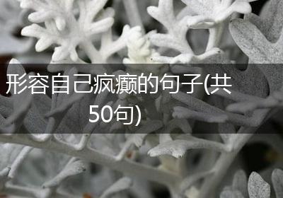 形容自己疯癫的句子(共50句)