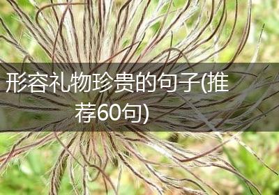 形容礼物珍贵的句子(推荐60句)