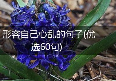 形容自己心乱的句子(优选60句)