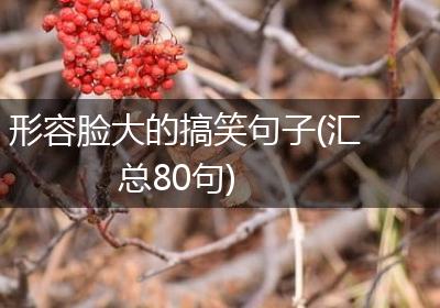 形容脸大的搞笑句子(汇总80句)