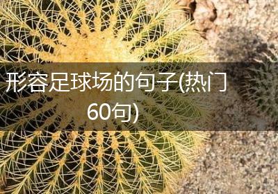 形容足球场的句子(热门60句)