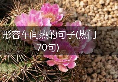 形容车间热的句子(热门70句)