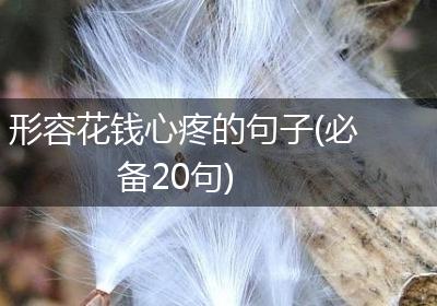 形容花钱心疼的句子(必备20句)