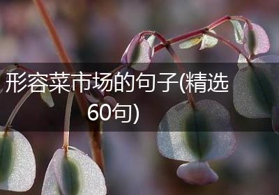 形容菜市场的句子(精选60句)