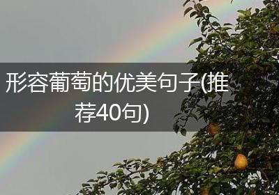 形容葡萄的优美句子(推荐40句)